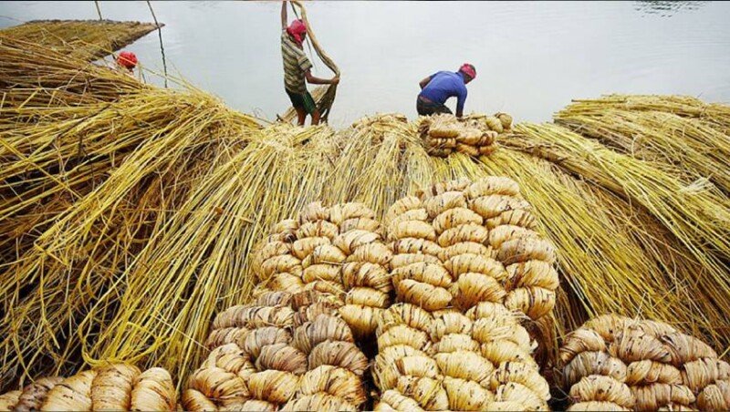 বিশেষ সুবিধা পাট শিল্পের ঋণে