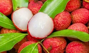 লিচু খাওয়ার সঠিক সময় কখন