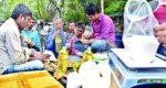 ঈদ উপলক্ষে টিসিবির ৬৯০ ট্রাকে দেশজুড়ে পণ্য বিক্রি শুরু