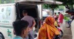 সড়কে গাছ ফেলে ডাকাতি, দু’জনের মৃত্যু