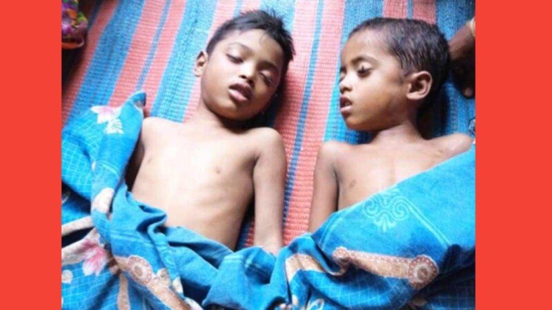 শাল্লায় খেলার সময় পুকুরে পড়ে ২ শিশুর মৃত্যু