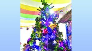 <span style='color:#ff0000;font-size:16px;'>শুভেচ্ছা জানিয়েছেন রাষ্ট্রপতি ও প্রধান উপদেষ্টা</span> <br> শুভ বড়দিন আজ