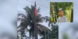 পর্তুগালের পতাকা টানাতে গিয়ে বিদ্যুৎস্পৃষ্টে কিশোর আইসিইউতে