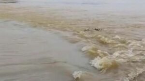 মৌলভীবাজারে বন্যার পানিতে ভেসে উঠলো এক লাশ
