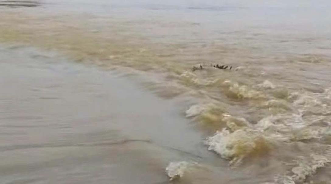 মৌলভীবাজারে বন্যার পানিতে ভেসে উঠলো এক লাশ